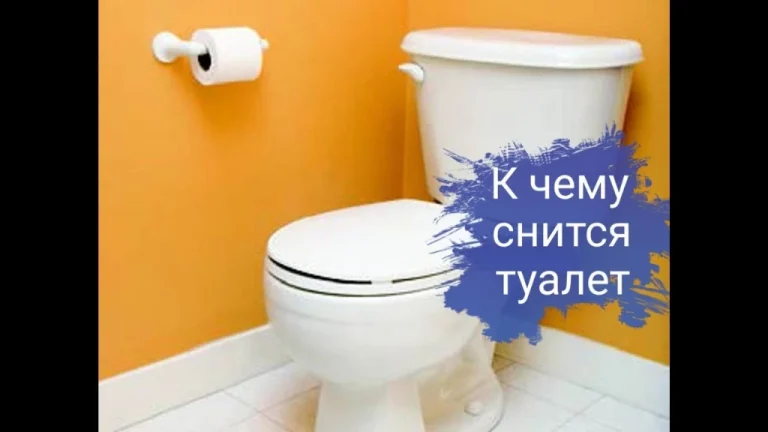 До Чого Сниться Сільський Туалет: Значення Сонника